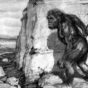 Néandertal, l’histoire d’une découverte